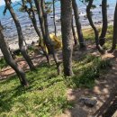 나정1리 이미지