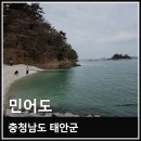 11545-01-52-08 | 충남 태안 민어도 물때 만조 시간 에메랄드 바다 풍경 후기
