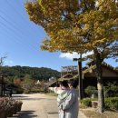 한나어린이집 | 월간고맘이 2025년 11월 일상 기록; 31개월, 7개월