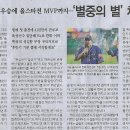 홈런스포츠