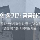 데일리헤어 이미지