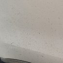 남부손세차장 이미지