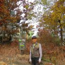 서오릉버스 종점 이미지