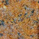 고기야고기야 이미지