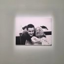 (주)게임캔버스 | [국립현대미술관 서울] 데미안 허스트 전시