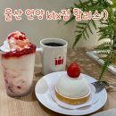 할리스커피 | 울산역 카페 추천:) 할리스 커피 딸기 시리즈 솔직후기