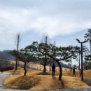 오늘골프
