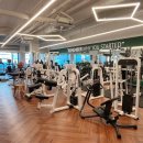 헬스피티 이미지