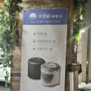 동탄 개나리공원 직접 구워주는 삼겹살 맛집 ‘고깃리88번지 동탄센트럴점’