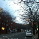 금샘로 Daum카페