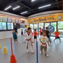 홍천체육관태권도장 이미지