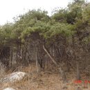 동산리마을회관 이미지