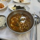 풍경채 호스텔 | 즉흥 울릉도 여행