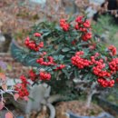 하우농장 이미지