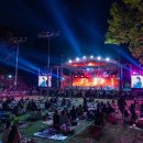 우물안 개구리 콘서트 이미지