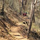 춘양면사무소 이미지