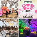 영상으로 만나는 정크, 클라운 | 경주 여행 가볼만한곳 벚꽃 명소 2026 대릉원 돌담길 축제 3일간 공연·먹거리·체험 총정리