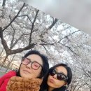 [연극 웨딩드레스] "김서형배우님 배우이주화 모노드라마 관극 감사합니다." 이미지