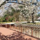 청평옆집언니 이미지