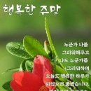 연모 ㅡ 박 우철 노래ㅡ 북한산 국립공원 ㅡ 보현봉 산행 이미지 ㅡ 이미지