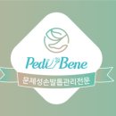 페디베네 이미지