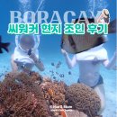 현지 | 보라카이 씨워커(헬멧다이빙) 현지조인체험 후기