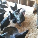 현주슈퍼 이미지