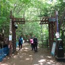 월출산!! 금릉경포대-경포대능선-사자바위-구름다리-천황사-야영장-천황주차장 이미지