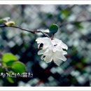 청계산식물원