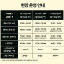 250509 검정치마 콘서트 후기 / 장충체육관 2층 B2 지정석 시야 (공연 1시간 전 MD 구매) 🎸