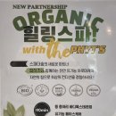 스파더숲 이미지