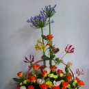 대양물류 이미지