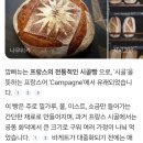 마이꼼빠뉴 나성동 카페 | 신상 베이커리 카페 방문 후기