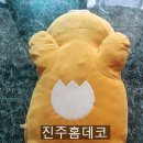 진주홈데코