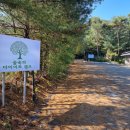 푸른 자연 속에서 건강하게! 숲속의 다이어트캠프로 떠나보세요