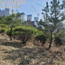 관고동-03 네이버블로그