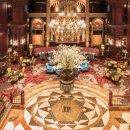 티팰리스 이미지