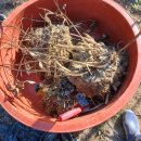 이기봉농장 이미지