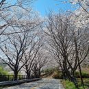 (주)보성교통 프레시안