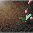 충남농약사 이미지