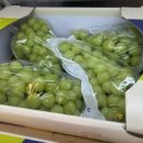 에스마켓자이점 이미지