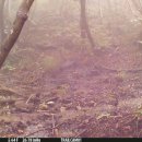 동면 생태친구들 이미지