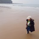 대신수산횟집식당 - 18746 | 대신수산횟집식당