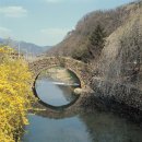 창녕 영산 만년교 이미지