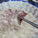 신선2호 이미지