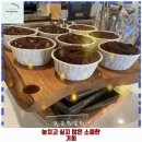 군자동 애견카페 하이어그라운드 가격 및 후기 추천 리뷰 주차 예약 알아볼까요