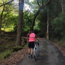 면앙정 | 란도나 여행기 &lt;담양2&gt;