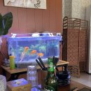 담소 | 수완지구 술집 한식안주 맛집 담소 후기