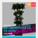정화식당 이미지