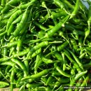 하남시 덕풍5일장날 모습(1) 이미지